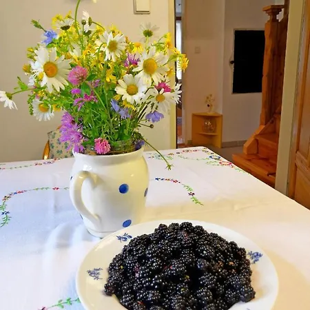 Vakantiehuis Komarovsky Rybnik *