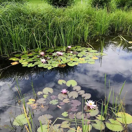 Komarovsky Rybnik Vakantiehuis