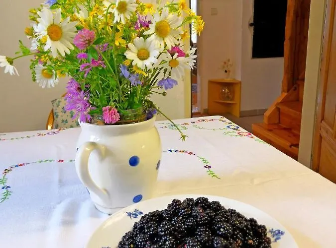 Semesterbostad Komarovsky Rybnik *