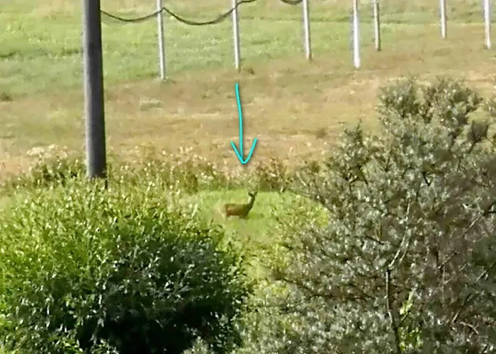 Komarovsky Rybnik * Branžež